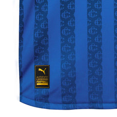 Puma Chivas Third 25/26 Jersey