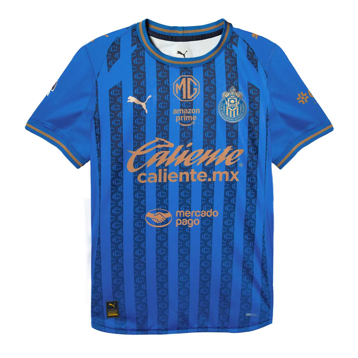 Puma Chivas Third 25/26 Jersey